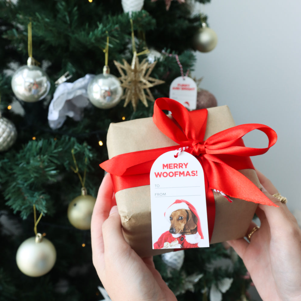 Christmas Gift Tags - Dogs & Cats