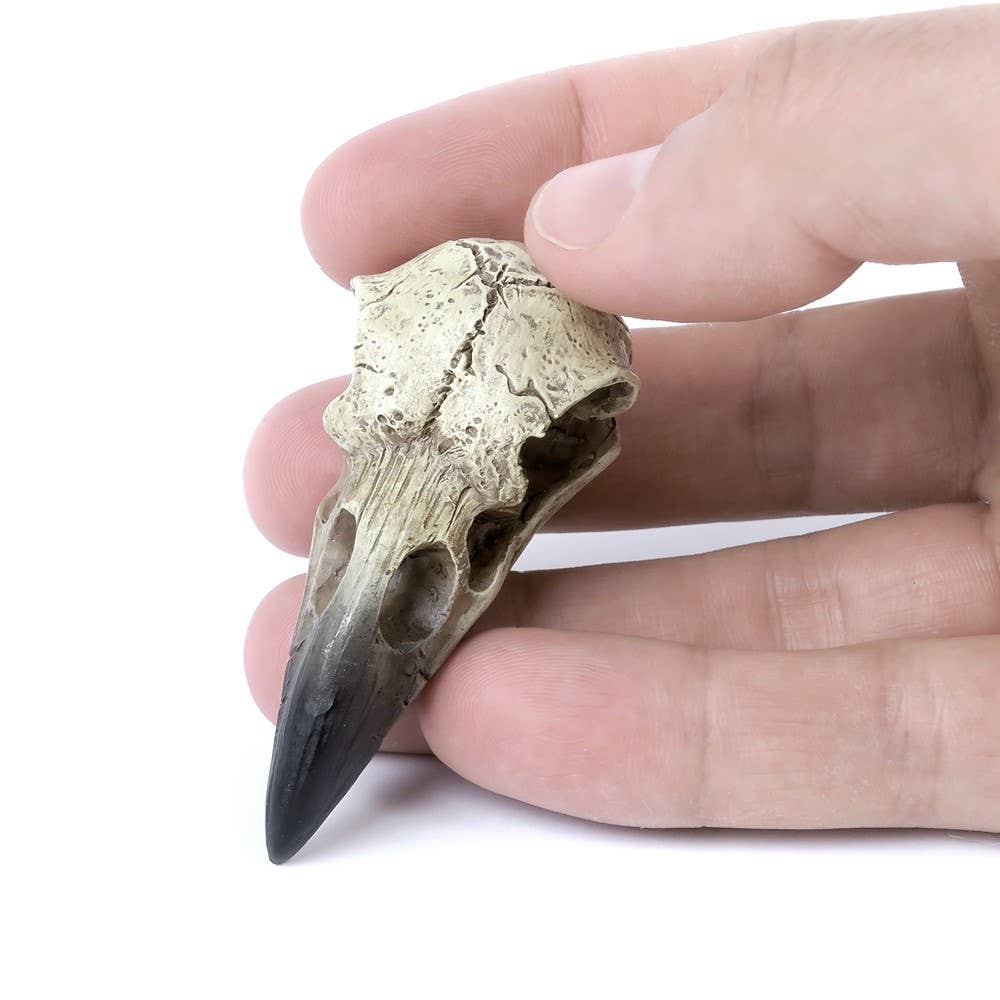 Reliquary Raven Skull (Table Ornament)