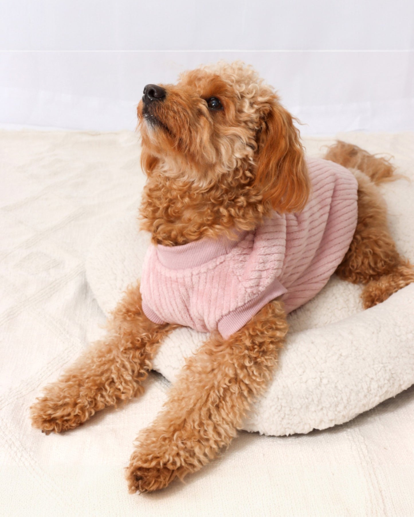Velvet Lined Pink Corduroy Coat