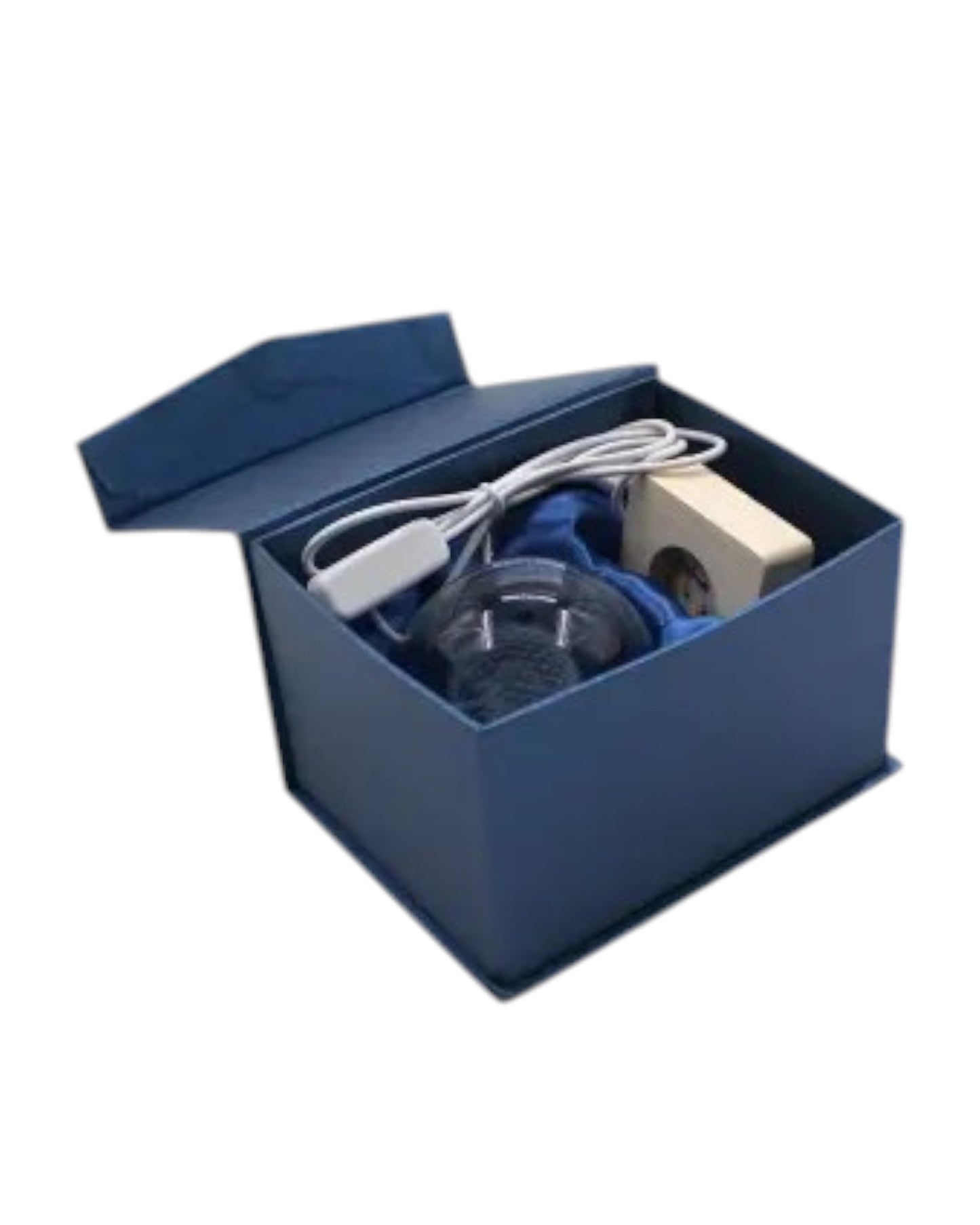 Shark Crystal Ball with Light