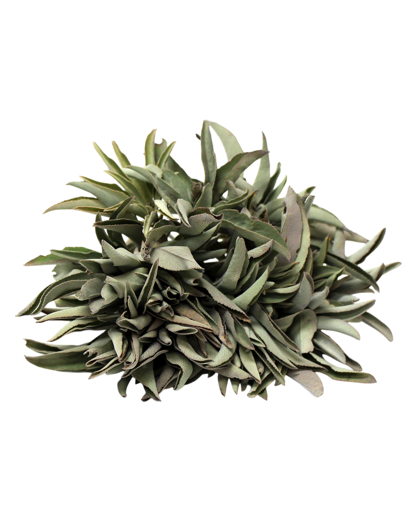 Sacred Elements Room Spray White Sage