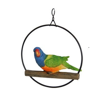 Birds in Rings hanging
