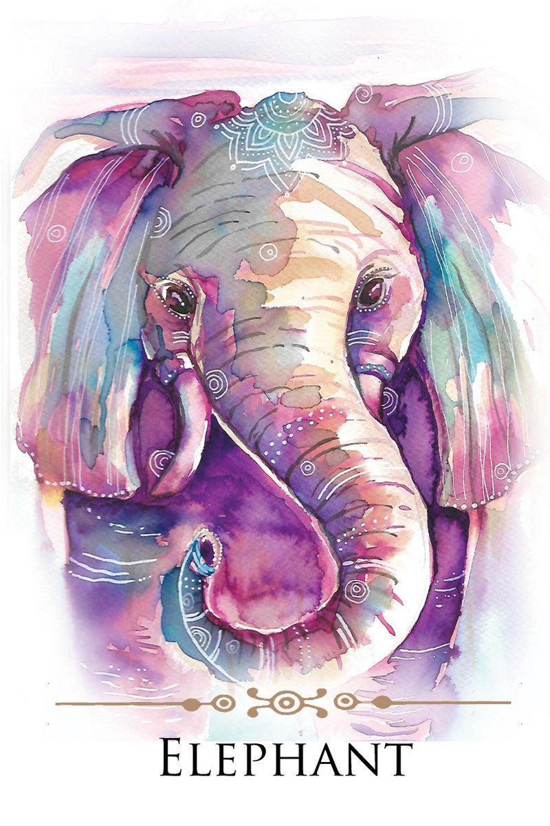Spirit Animals Message Cards