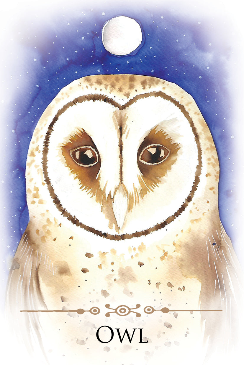 Spirit Animals Message Cards