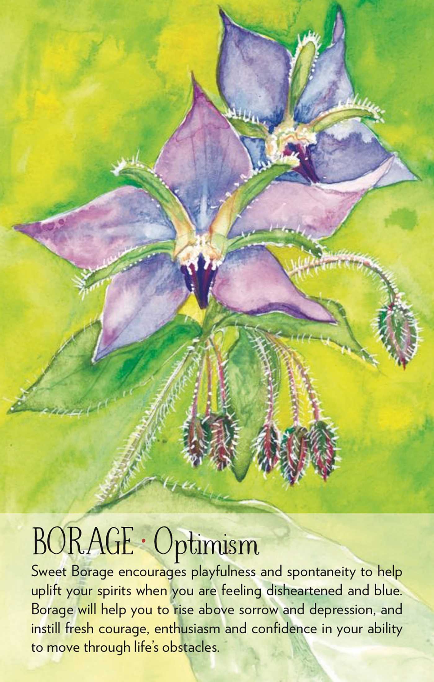 Soulflower Plant Spirit Oracle Cards