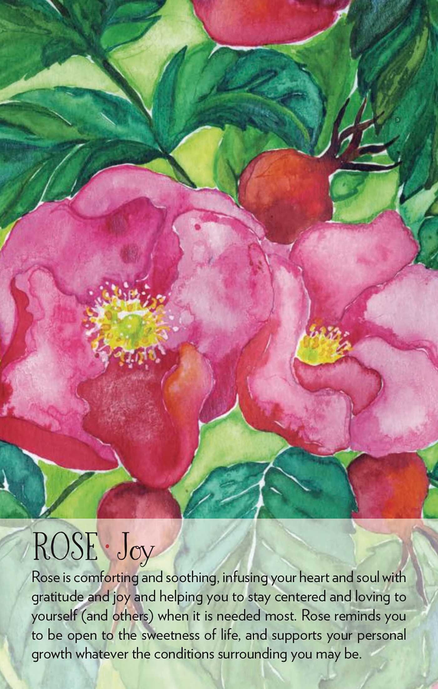 Soulflower Plant Spirit Oracle Cards