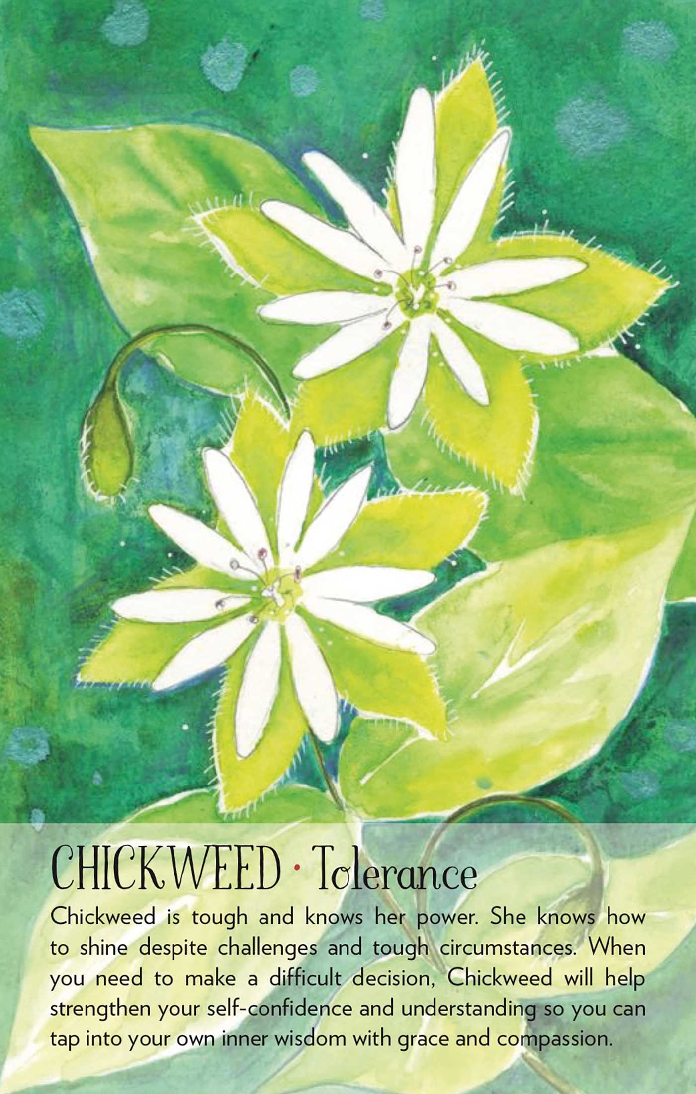 Soulflower Plant Spirit Oracle Cards