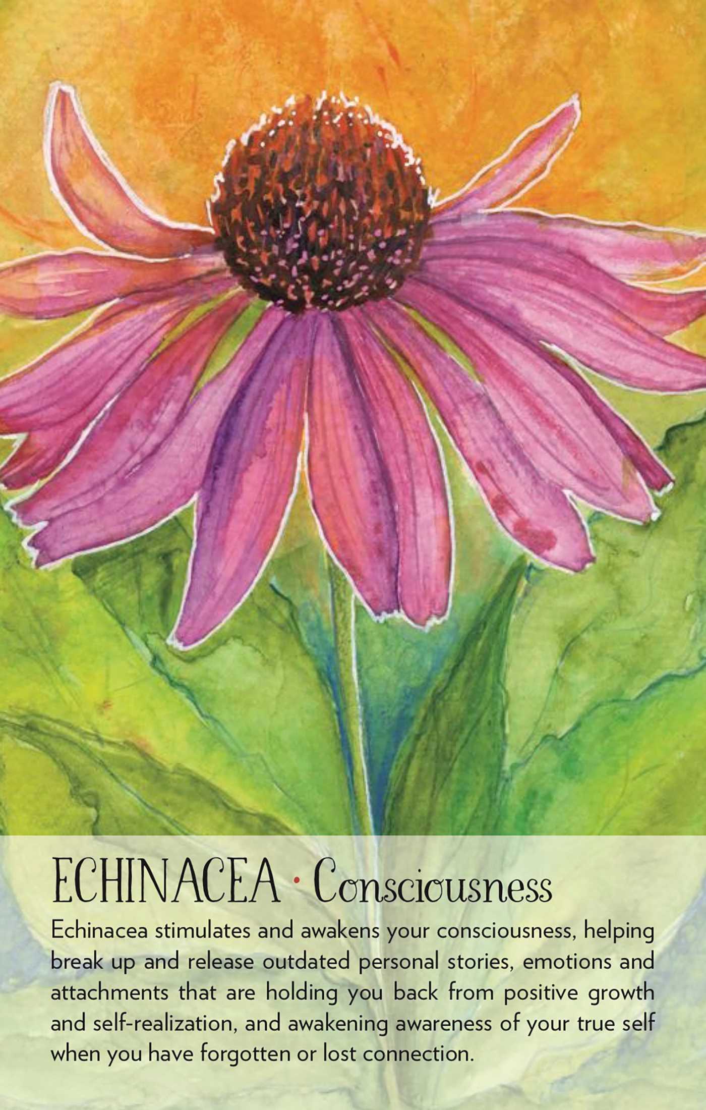 Soulflower Plant Spirit Oracle Cards
