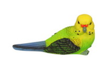 BUDGIES