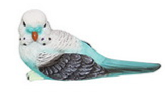 BUDGIES
