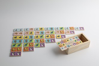 Dominoes - NZ Birds