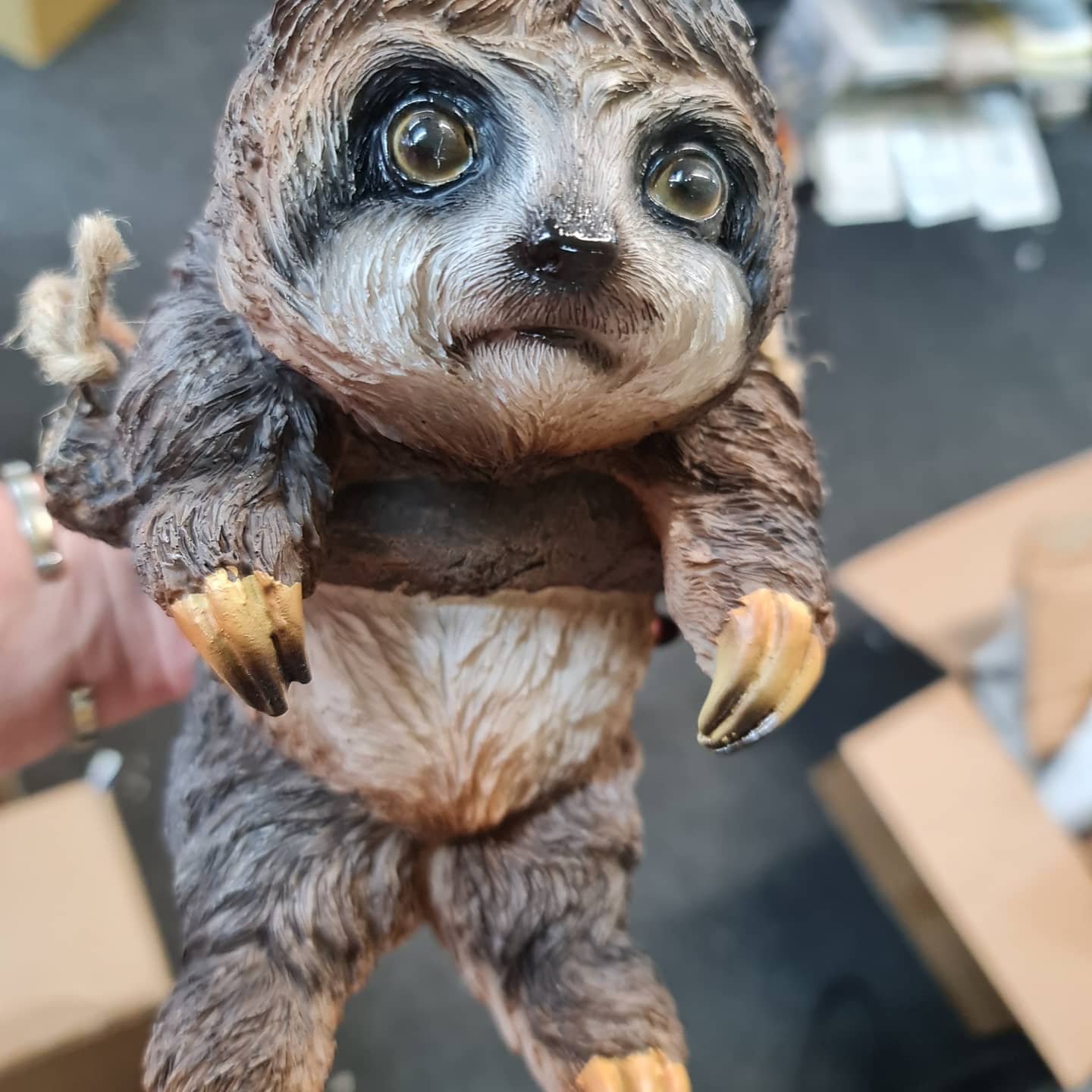Hanging Sloth