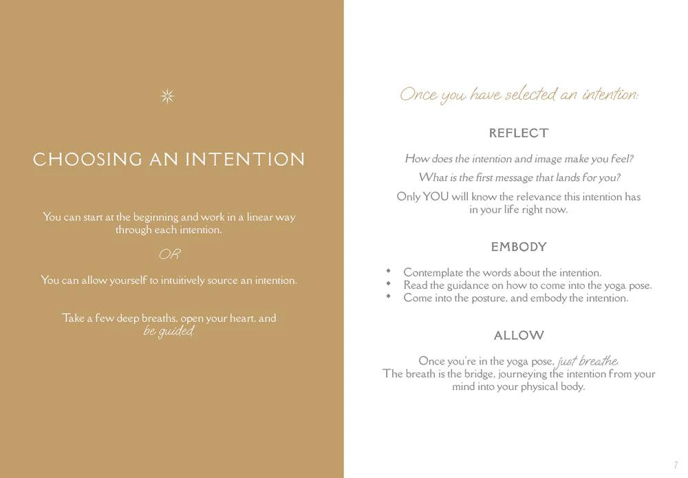 Big Intentions Box Set