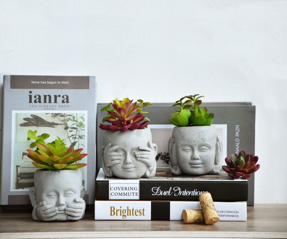 Set 3 Baby Buddha Planter with Succulents SEE, HEAR & SPEAK NO EVIL