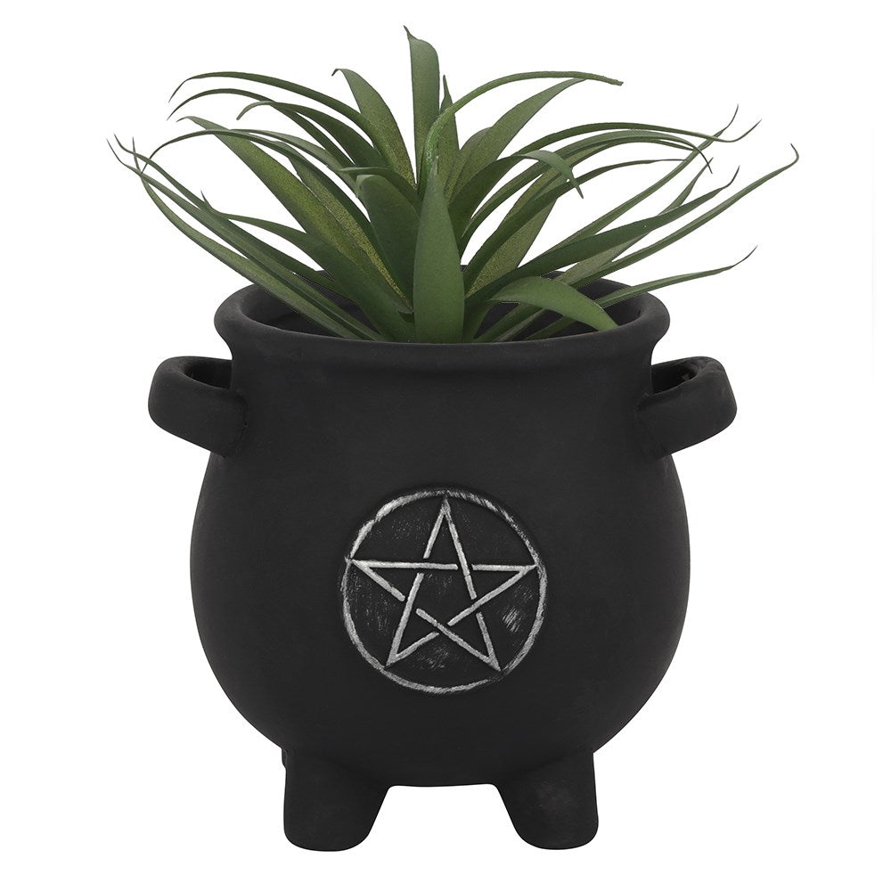 Cauldron Plant pots