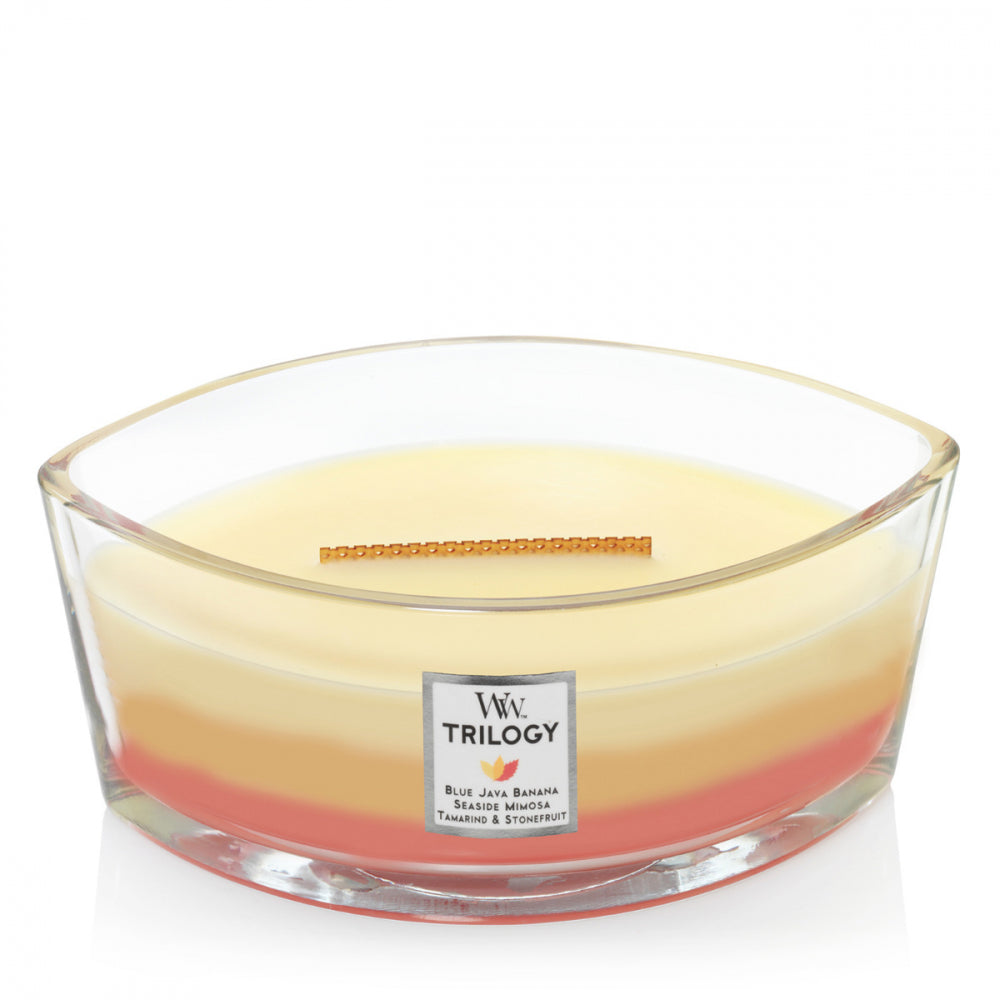 Woodwick Tropical Sunrise Ellipse
