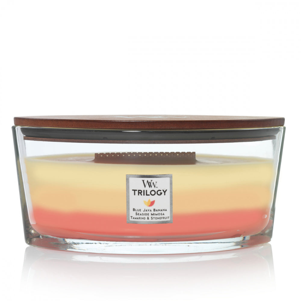 Woodwick Tropical Sunrise Ellipse