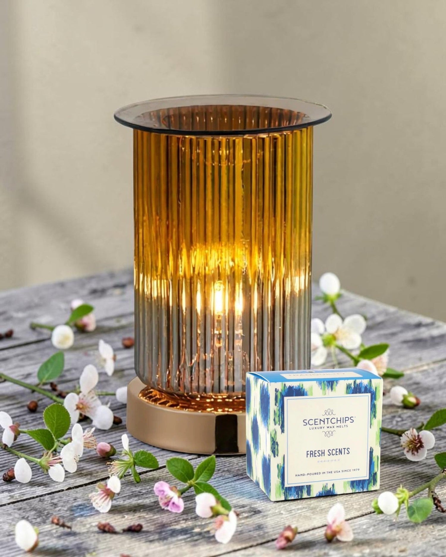 Scentchips Wax Warmers