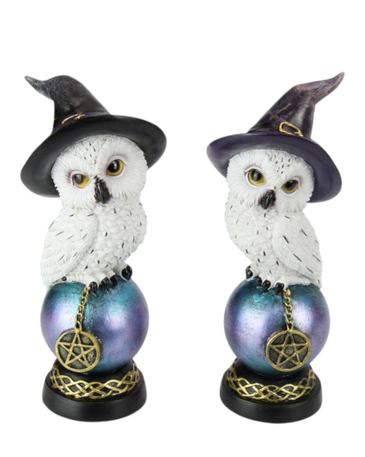 Owl w/Witch Hat on Celt