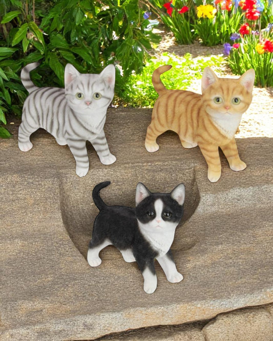 Standing Kittens