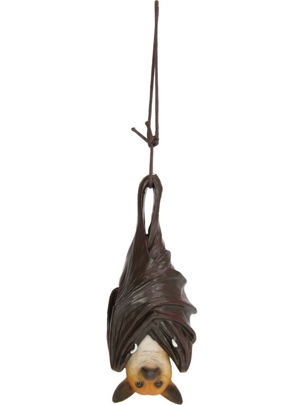 Hanging Bat on Rope