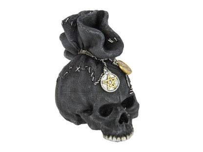 Black Skull in Money Bag
