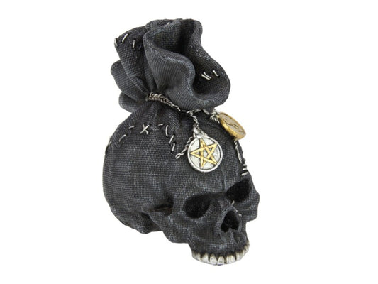 Black Skull in Money Bag