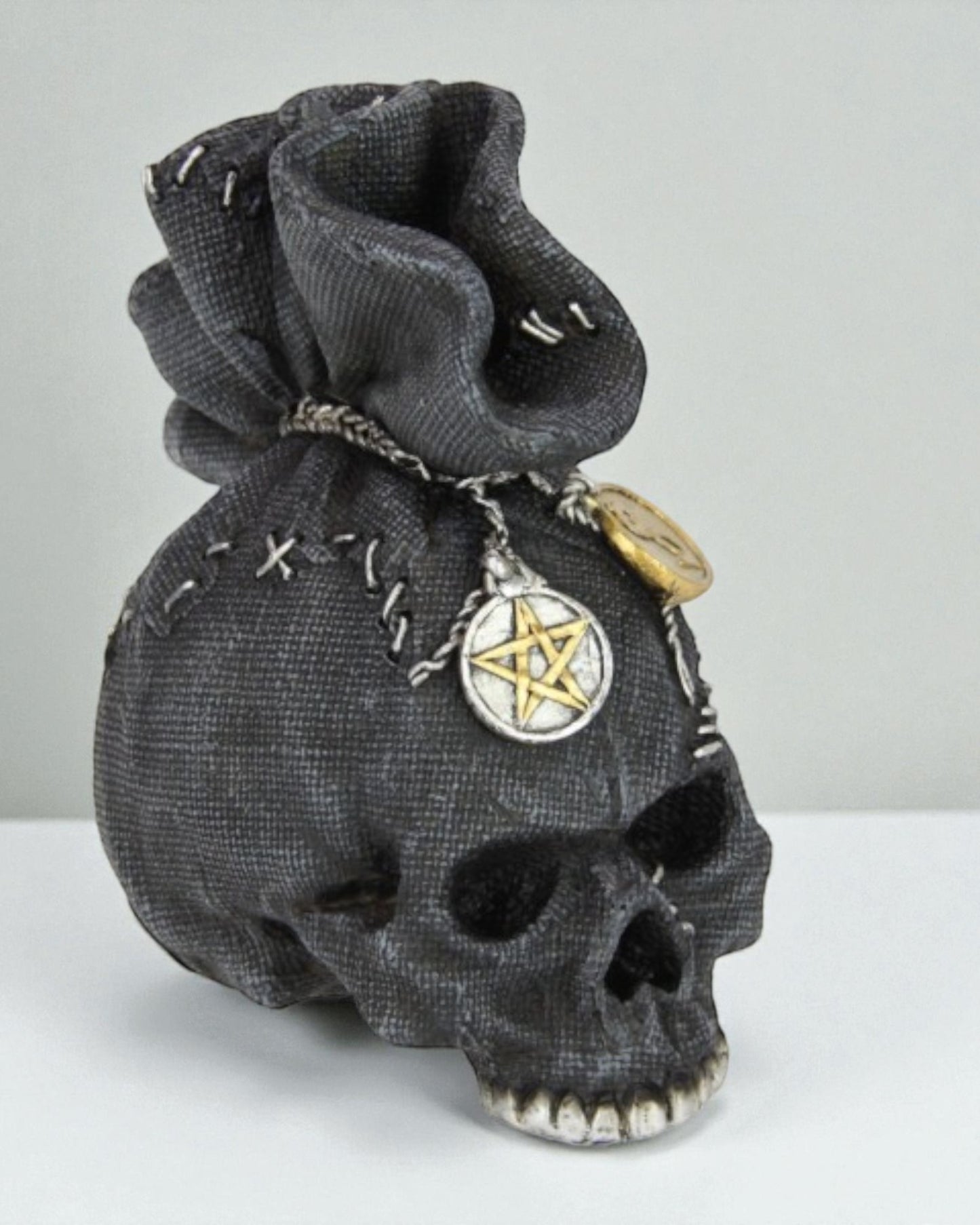 Black Skull in Money Bag