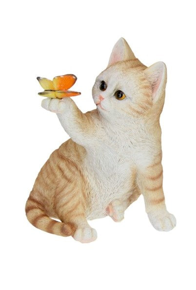 Cat Hold Butterfly