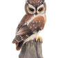 Sitting Owl on Tree Stump