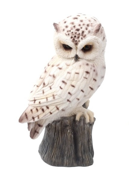 Sitting Owl on Tree Stump