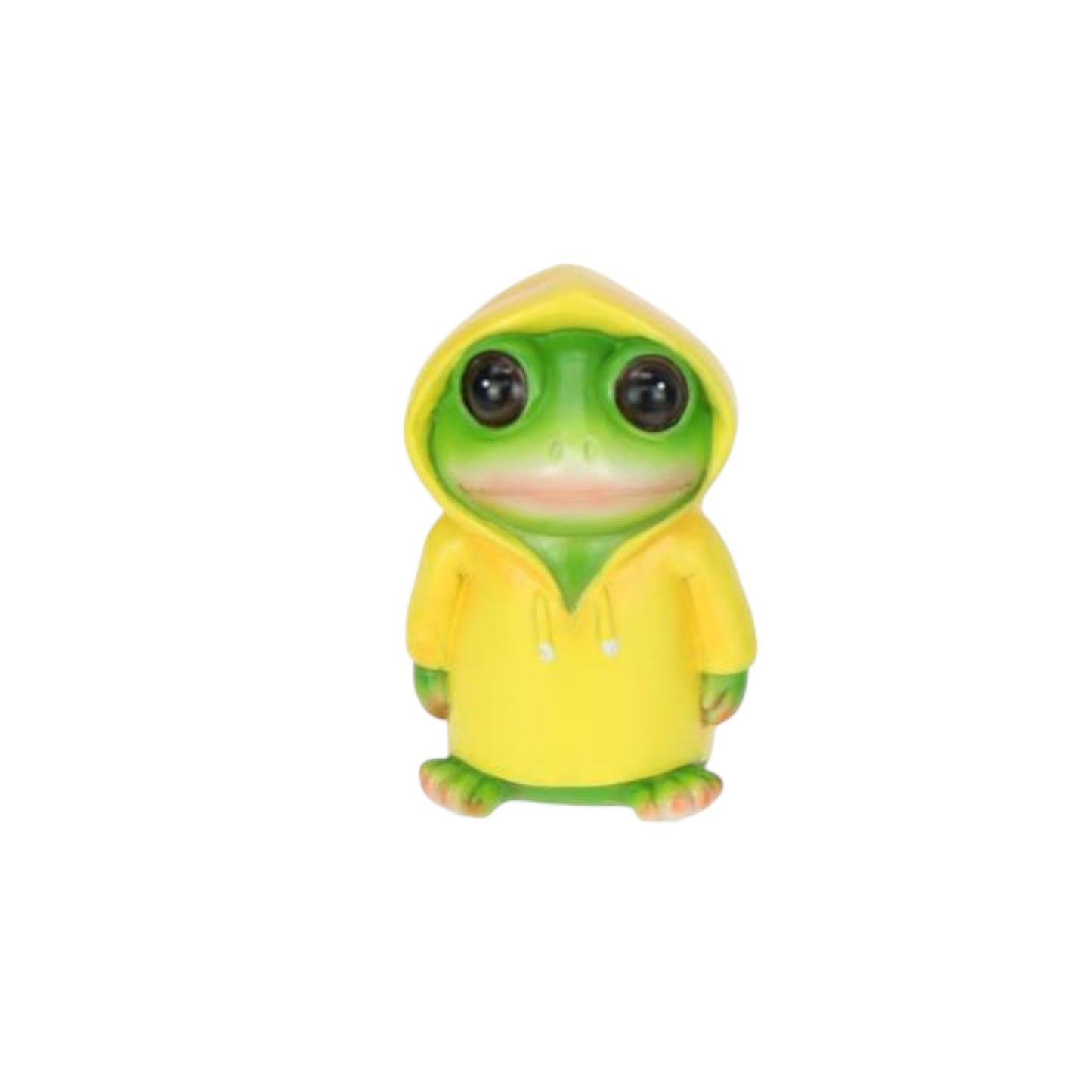 Frog in Rain Jacket