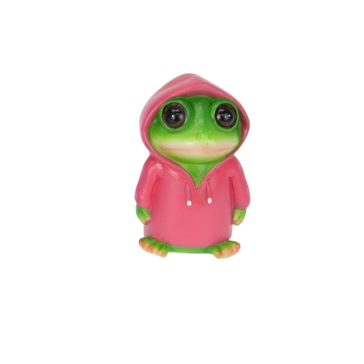 Frog in Rain Jacket