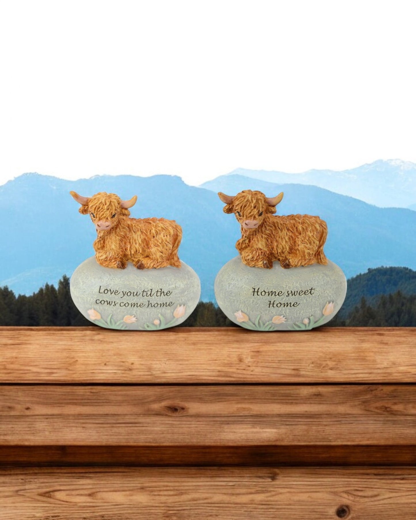 Highland Cows on Inspiration rock Plaques