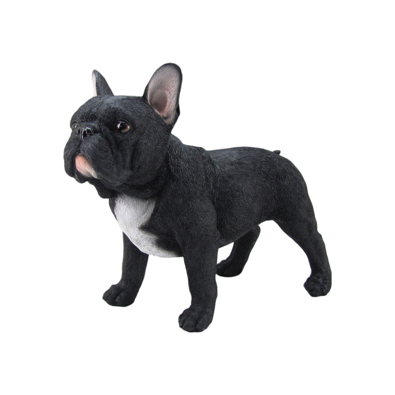 Stand Blk French Bulldog