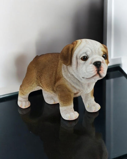 Standing Bulldog Puppy