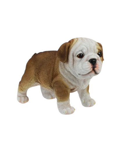 Standing Bulldog Puppy