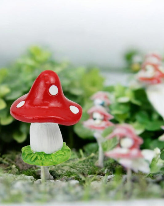 Mini Mushroom