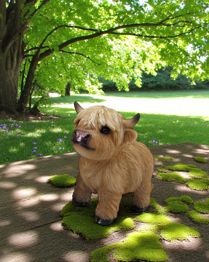 Cute Highland Cow