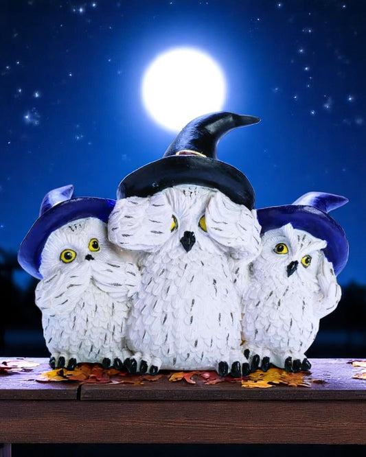 3 Wise Snowy Owls