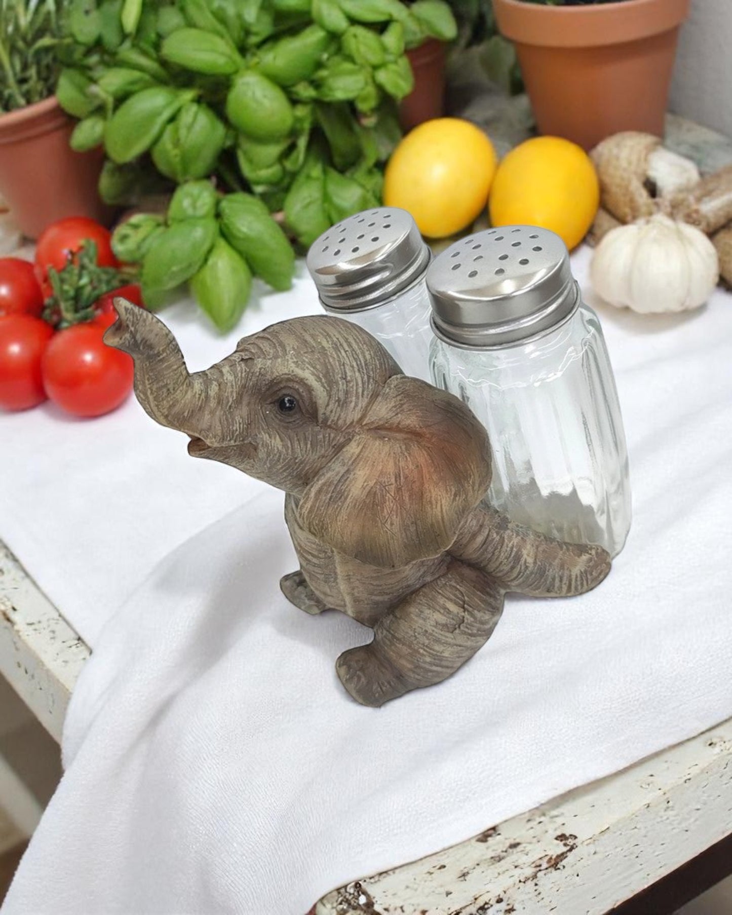 Elephant Salt & Pepper Shakrs
