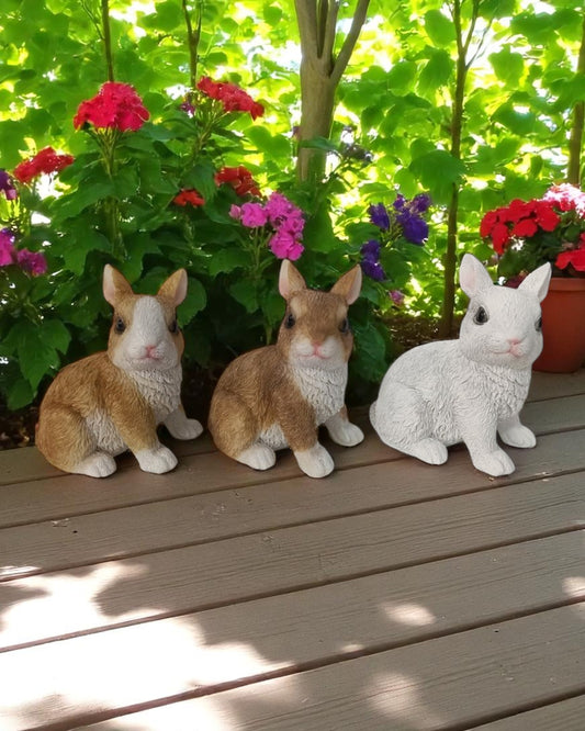 Cute Sitting Rabbits