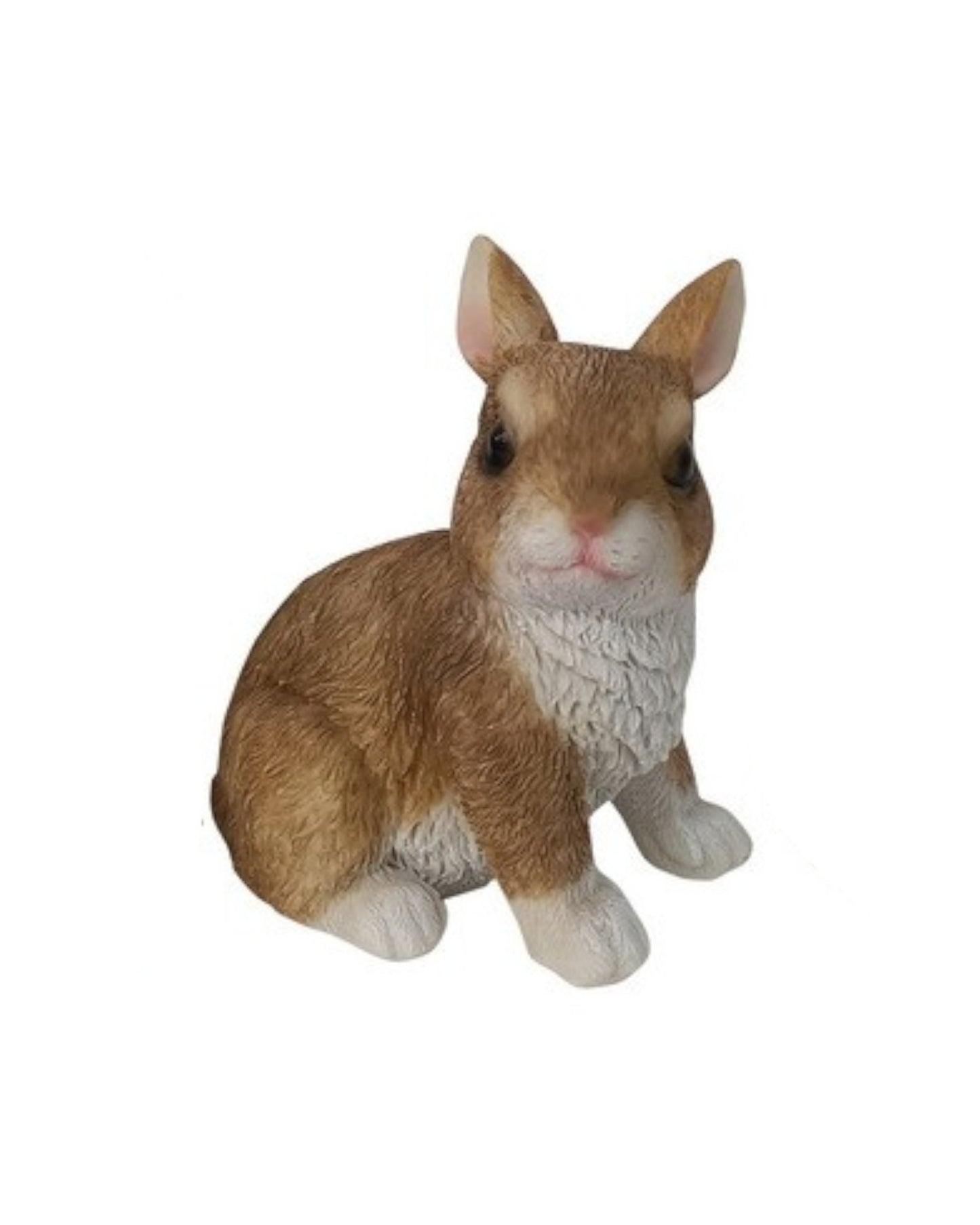 Cute Sitting Rabbits