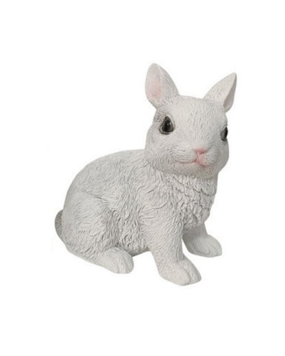 Cute Sitting Rabbits