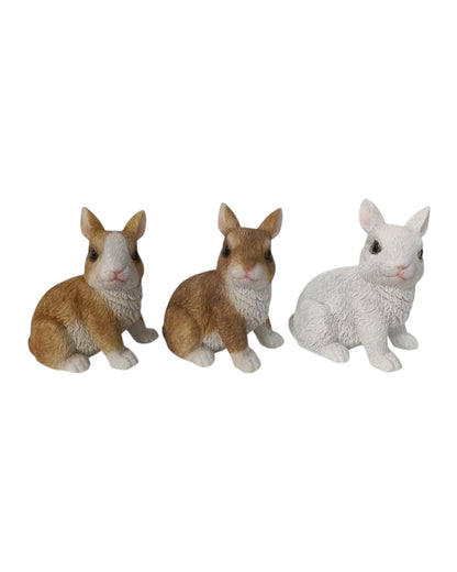 Cute Sitting Rabbits