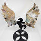 Ocean Jasper Pegasus Wings