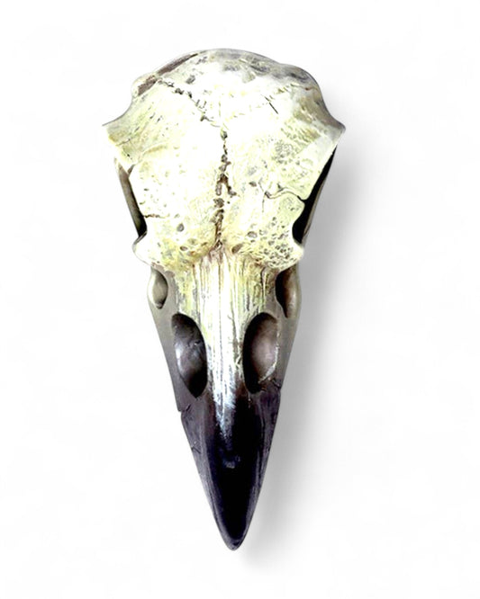 Reliquary Raven Skull (Table Ornament)