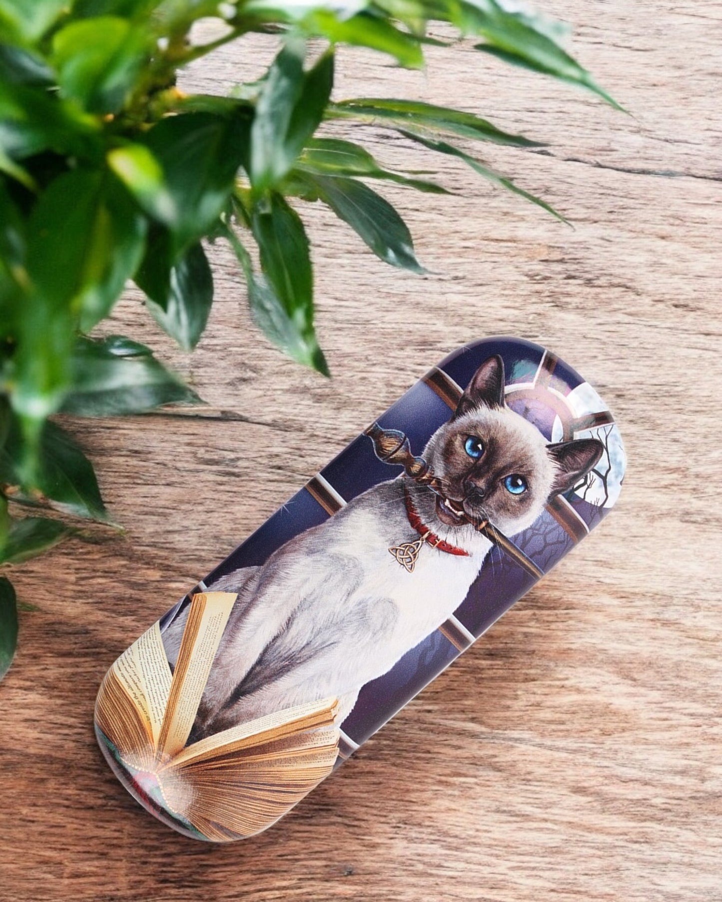 Hocus Pocus Glasses Case by Lisa Parker