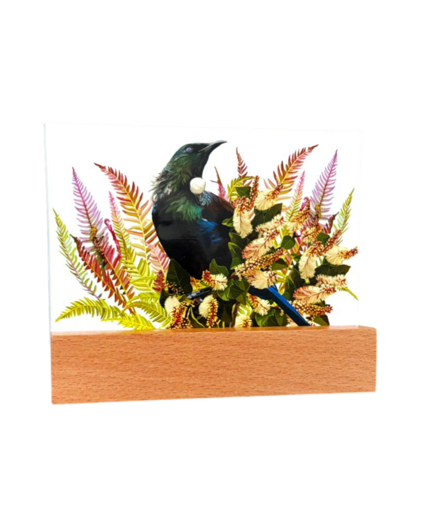 Glass in Block Tui on Fern