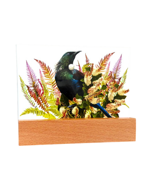 Glass in Block Tui on Fern